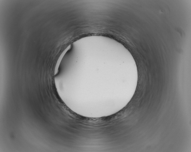 X0000111210720200907221151