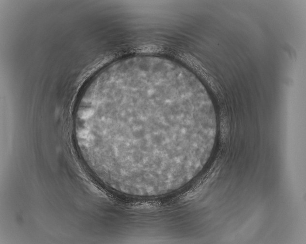 X0000111210721200907221150