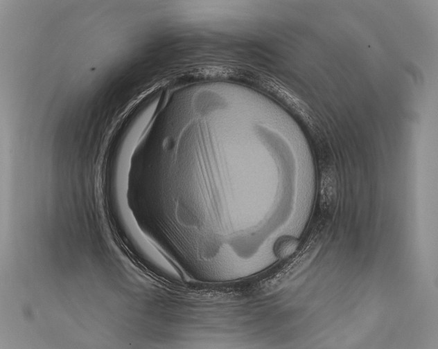 X0000111210722200907221150