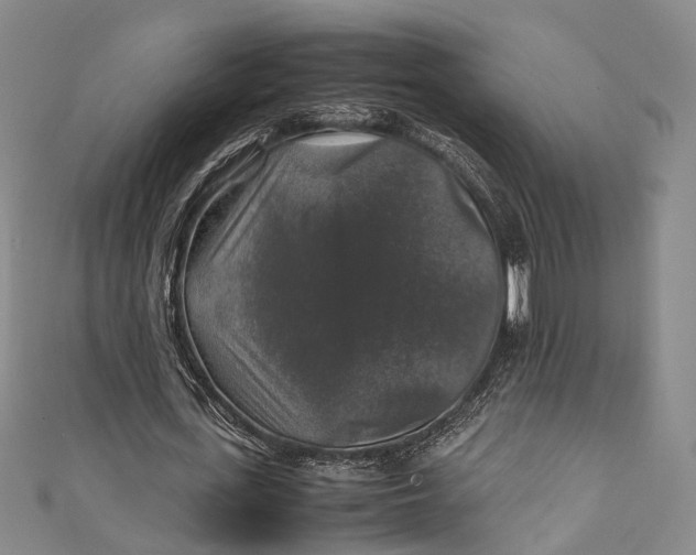 X0000111210723200907221150