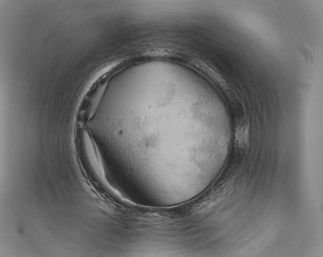 X0000111210724200907221150