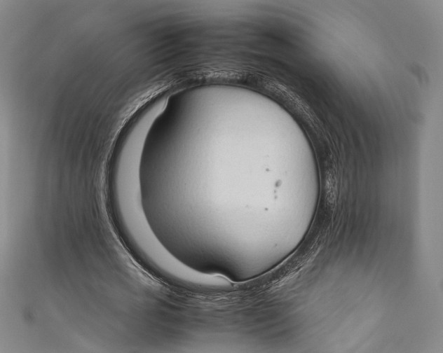 X0000111210725200907221150