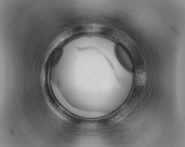 X0000111210726200907221150