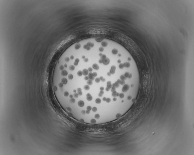 X0000111210727200907221150