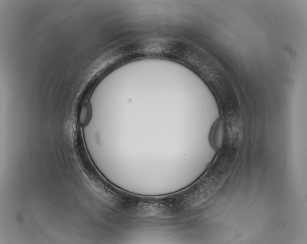 X0000111210728200907221150