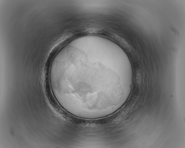 X0000111210730200907221150