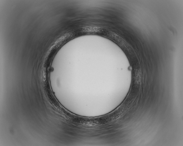 X0000111210731200907221150