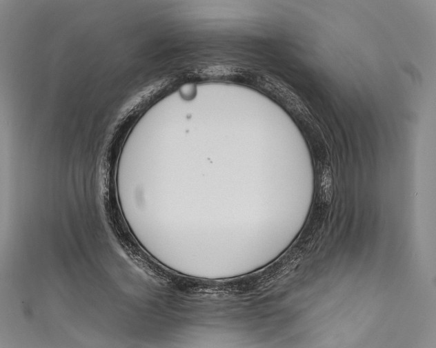 X0000111210732200907221150