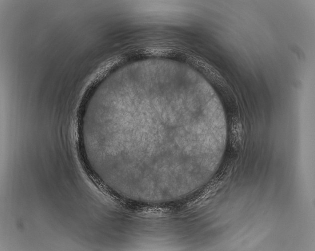 X0000111210734200907221150