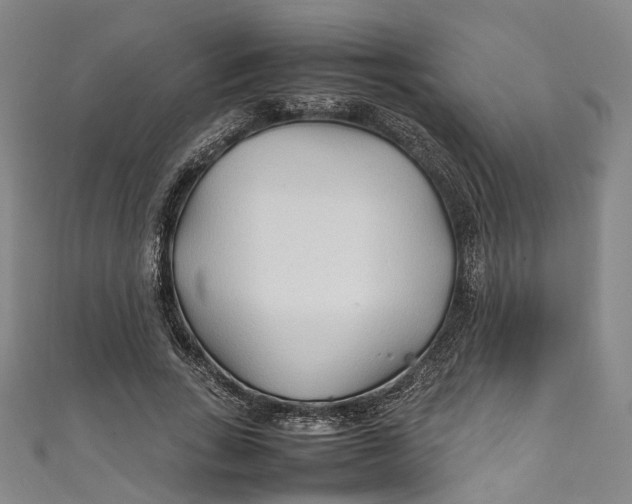 X0000111210735200907221150