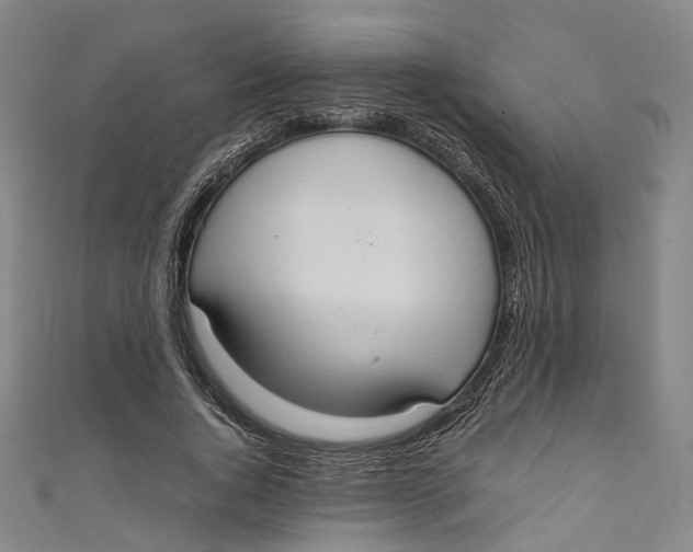 X0000111210736200907221151