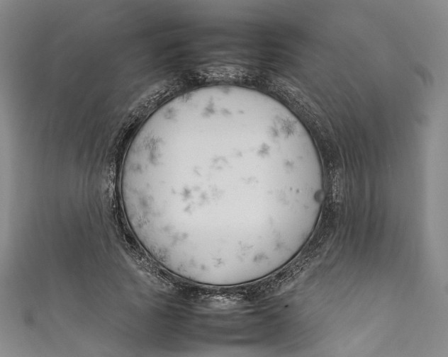 X0000111210737200907221151