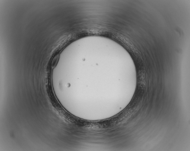 X0000111210738200907221151