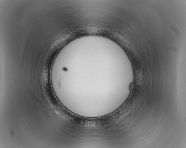 X0000111210740200907221151