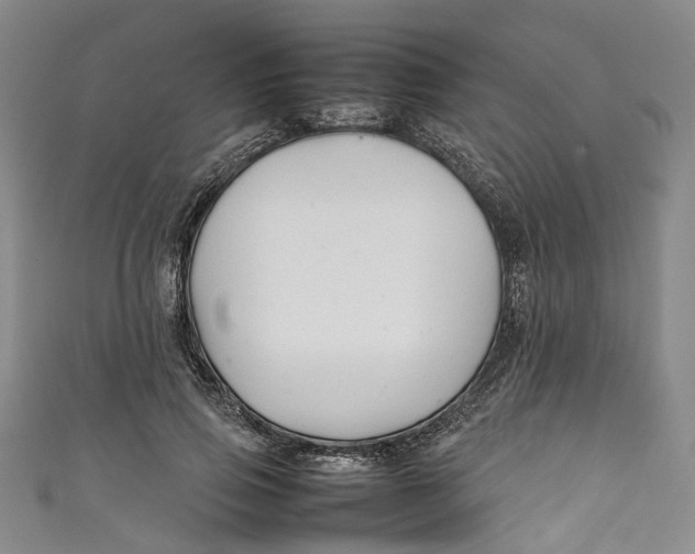 X0000111210741200907221151