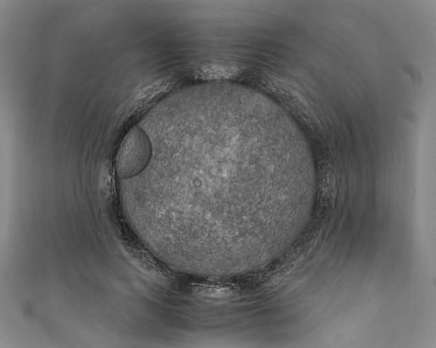 X0000111210743200907221151