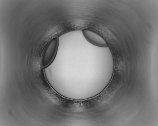 X0000111210744200907221151