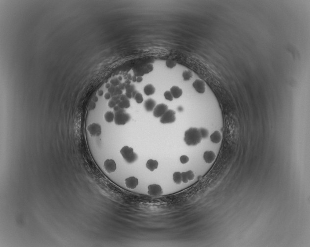 X0000111210745200907221151