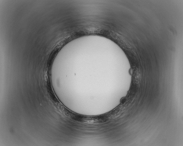 X0000111210746200907221151