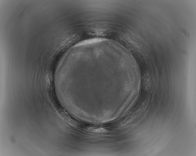 X0000111210747200907221151