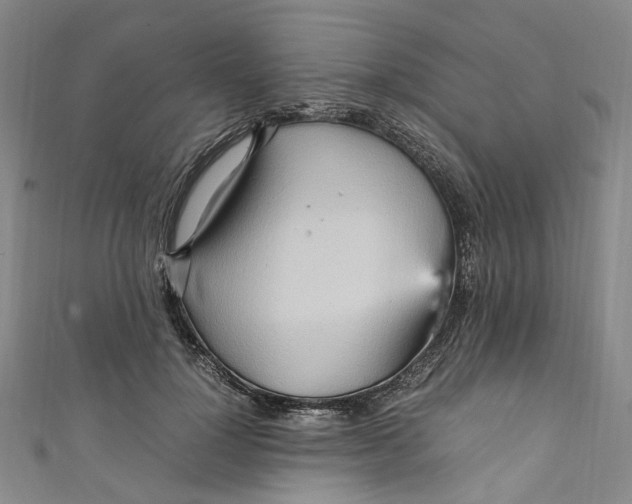 X0000111210748200907221151