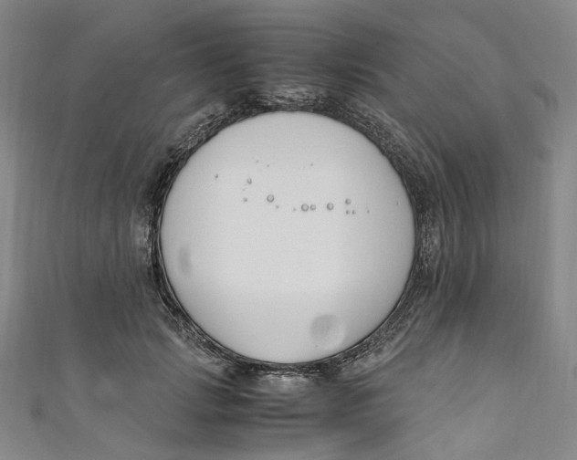 X0000111210749200907221151