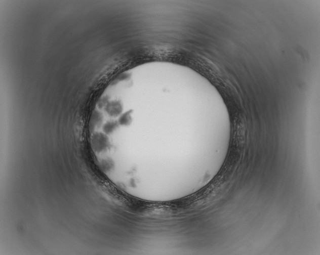 X0000111210750200907221151