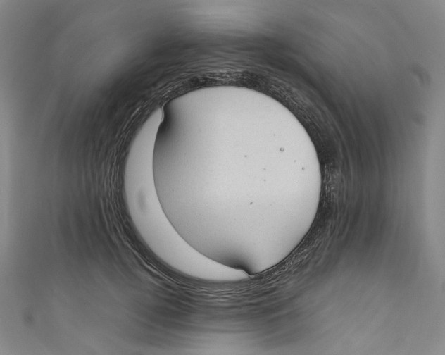 X0000111210752200907221151