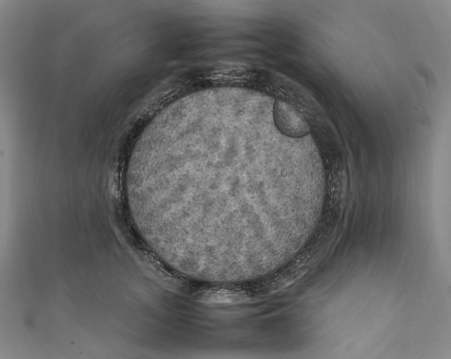 X0000111210755200907221151