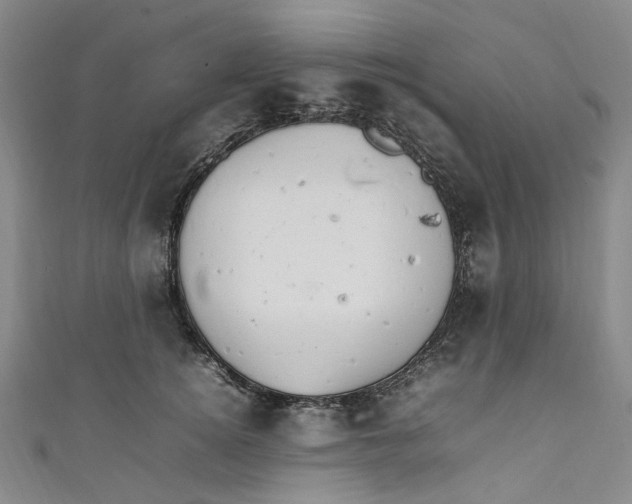 X0000111210756200907221151