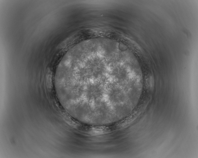 X0000111210757200907221151