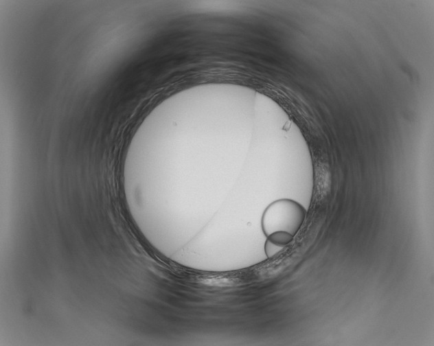 X0000111210759200907221151