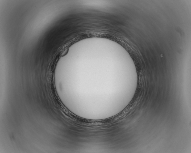 X0000111210760200907221151