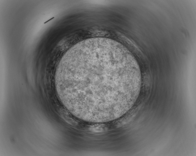 X0000111210761200907221151