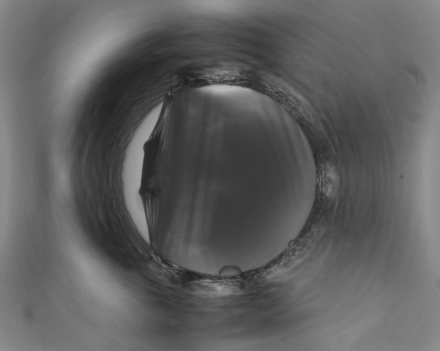 X0000111210763200907221151