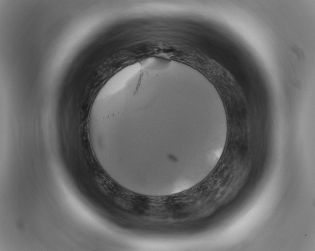 X0000111210766200907221151