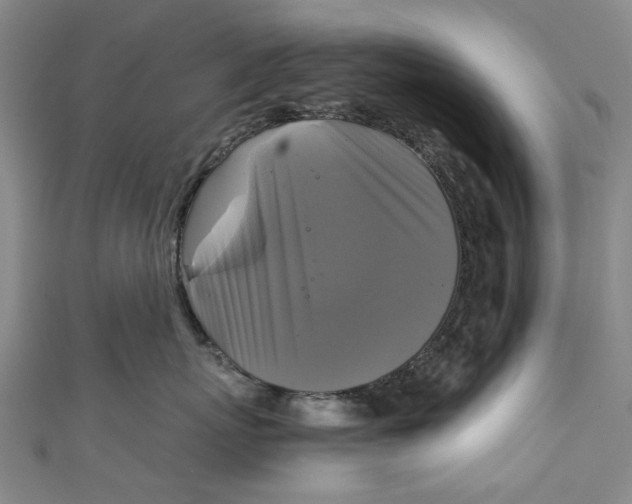 X0000111210767200907221151