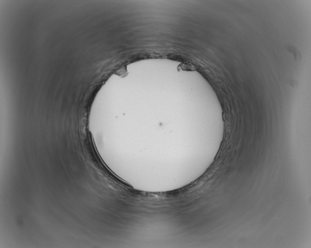 X0000111210768200907221151