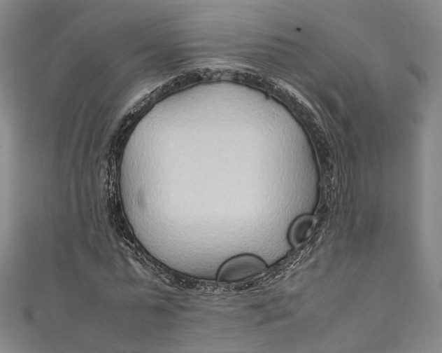 X0000111210775200907221150