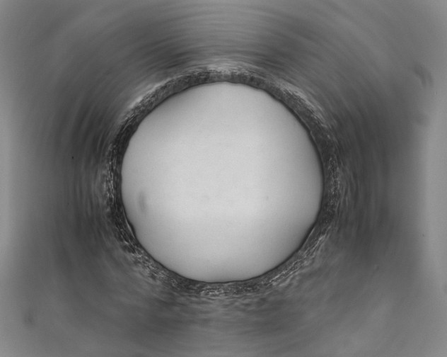 X0000111210776200907221150