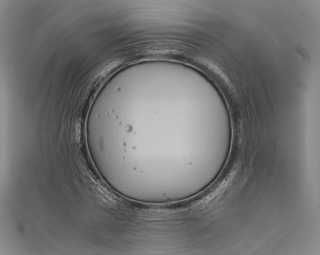 X0000111210777200907221150