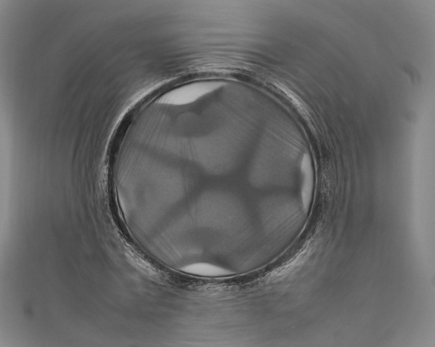 X0000111210779200907221150