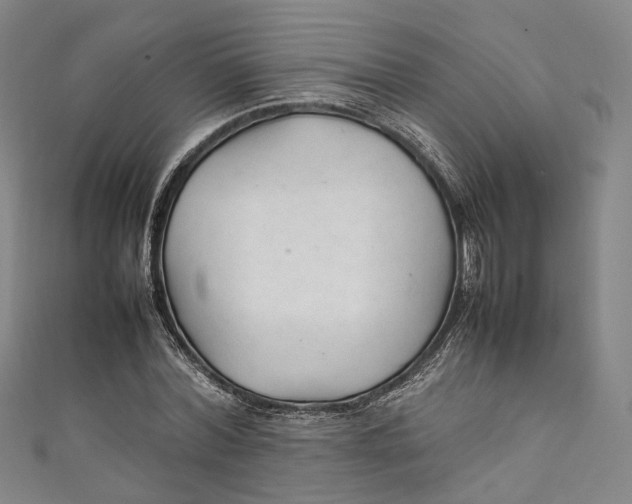 X0000111210780200907221150