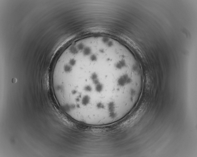 X0000111210782200907221150