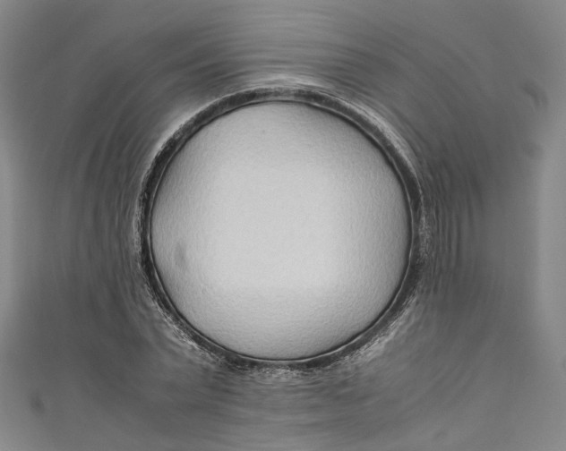 X0000111210783200907221150