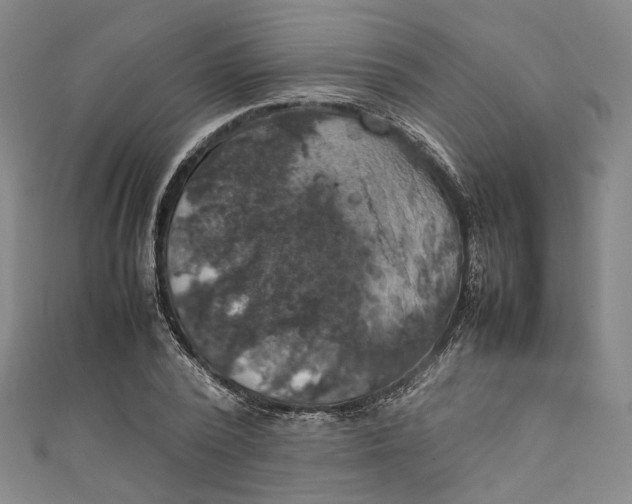 X0000111210784200907221150