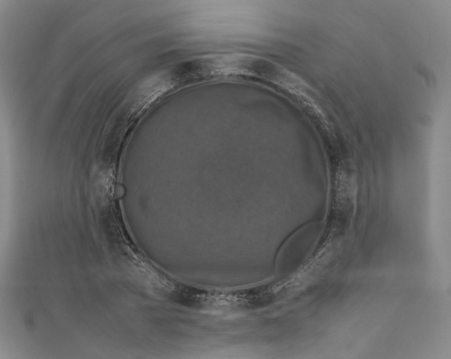 X0000111210785200907221150