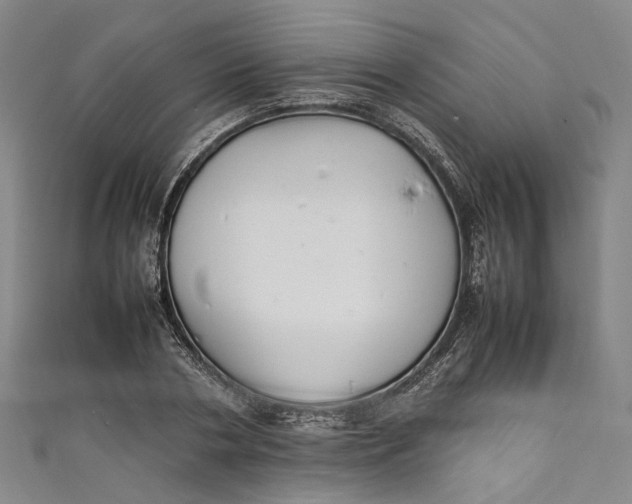 X0000111210786200907221150