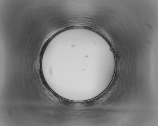 X0000111210787200907221150