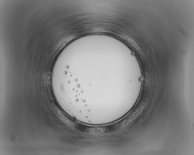 X0000111210793200907221150